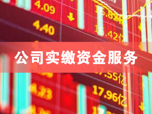 明光公司实缴资金服务