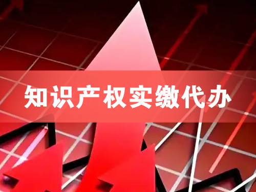 明光知识产权实缴资本代办
